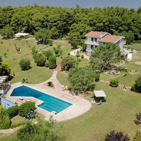 Olivos Villa Sani Sani (Chalkidiki) Exterior foto