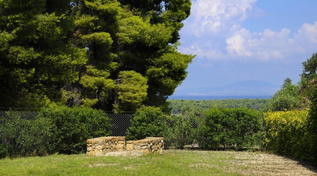 Olivos Villa Sani Sani (Chalkidiki) Quarto foto