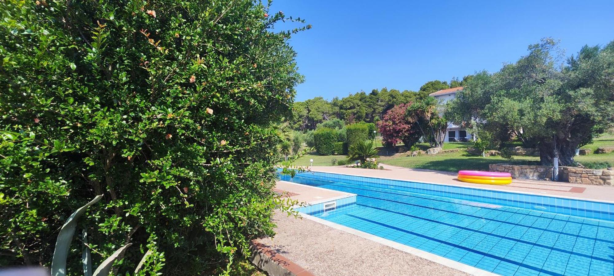 Olivos Villa Sani Sani (Chalkidiki) Exterior foto